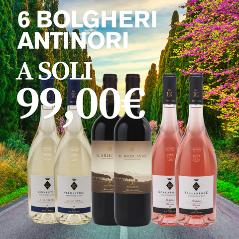 BOX BOLGHERI ANTINORI GUADO AL TASSO OFFERTA