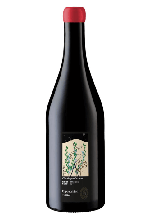 Piccole Produzioni Marche Rosso Pinot Nero IGT 2024 Coppacchioli Tattini