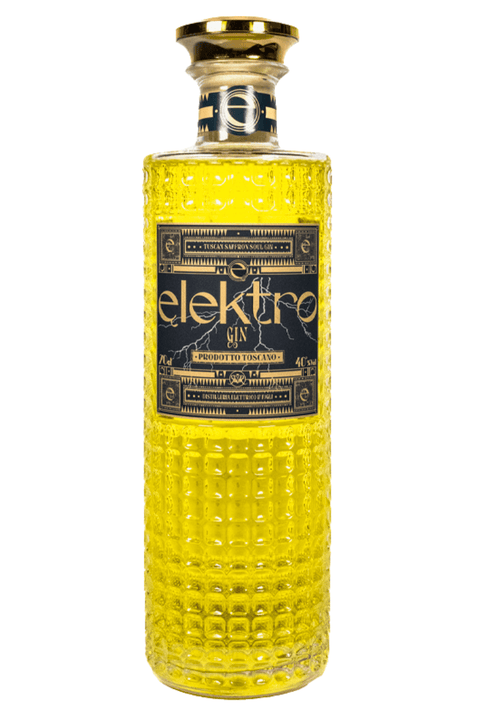 Elektro Gin Distilleria Elettrico