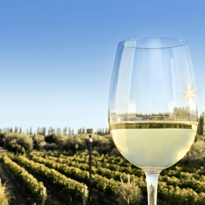 Vini Bianchi del 2025: Le Tendenze che Dominano il Calice