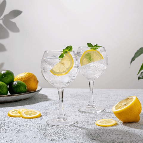 Gin, Sole e Freschezza: L’Estate del 2025 Sarà Frizzante