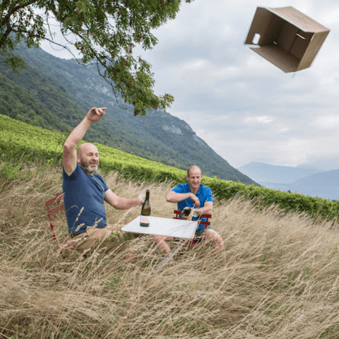 Viaggio tra i Vigneti della Savoia e del Jura: La Magia dei Vini Nascosti