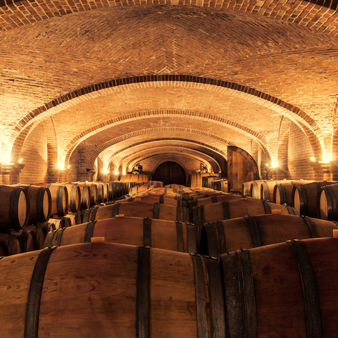 Alla scoperta delle cantine più belle d'Italia