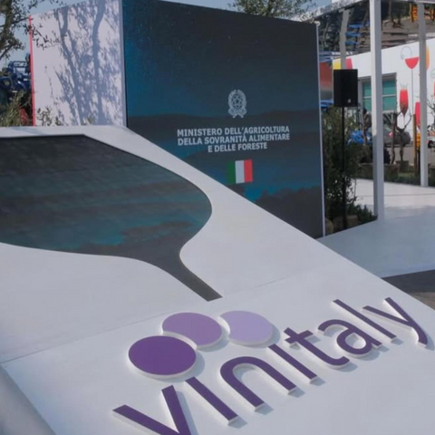 Vinitaly 2025: Il vino italiano si guarda allo specchio