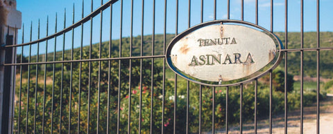 Tenuta Asinara