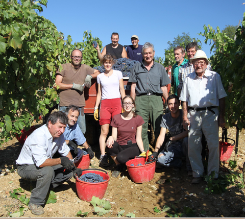 famiglia losi querciavalle chianti classico