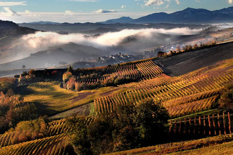 Terre del Barolo