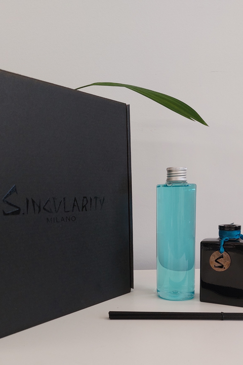 Salina Profumo da Ambiente Confezione Dark 500ml Singularity