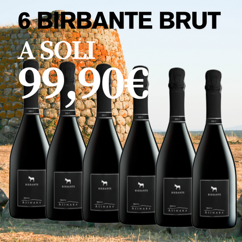 BOX BIRBANTE BRUT