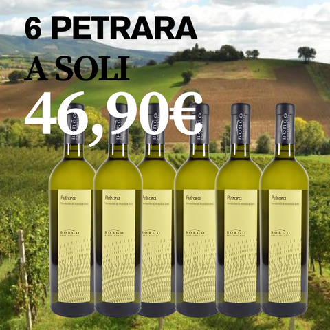 BOX PETRARA BORGO PAGLIANETTO OFFERTA