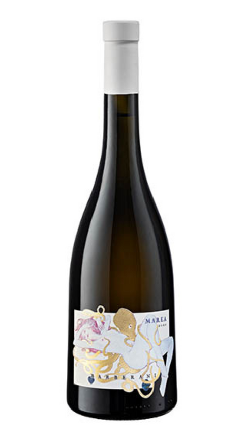 Marea Riesling Umbria IGT 2021 Bio Barberani