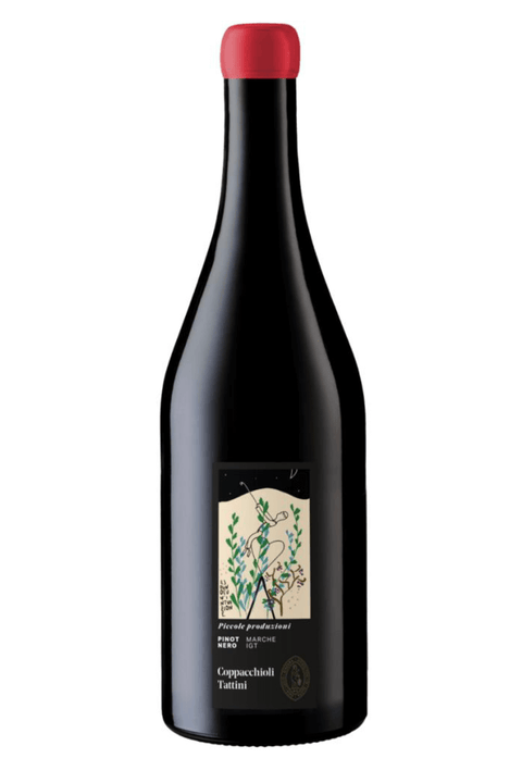 Piccole Produzioni Marche Rosso Pinot Nero IGT Coppacchioli Tattini