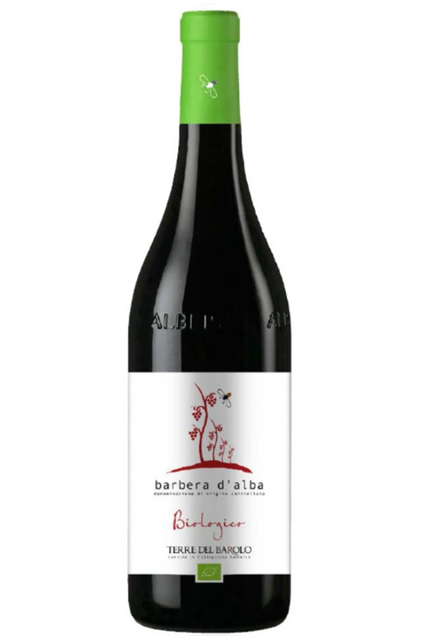 Barbera d'Alba DOC 2019 Bio Terre del Barolo