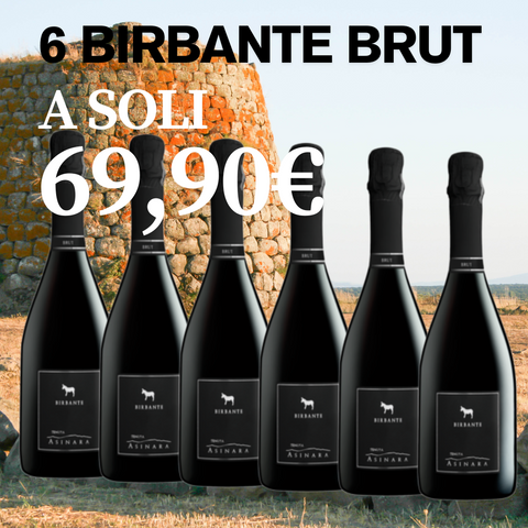 box_6_bottiglie_birbante_brut
