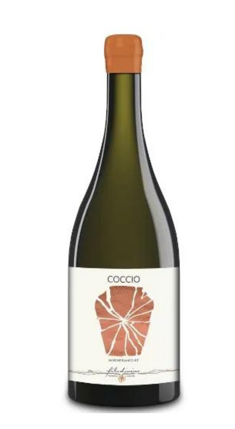 Coccio Marche White IGT 2021 Filodivino