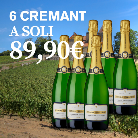BOX 6 bottiglie di Crémant de Bourgogne Brut