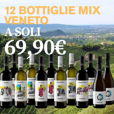 SUPER BOX 12 bottiglie Mix Veneto