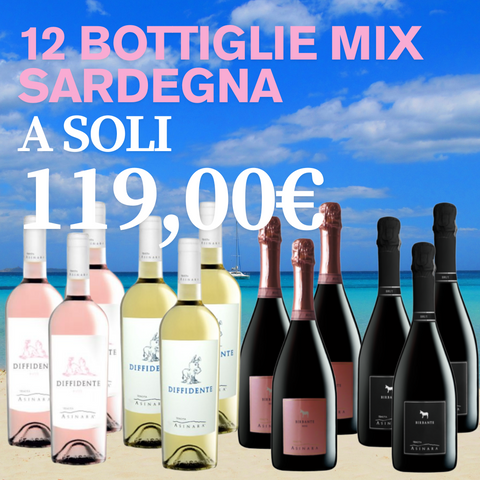 Super BOX 12 bottiglie di Mix Sardegna