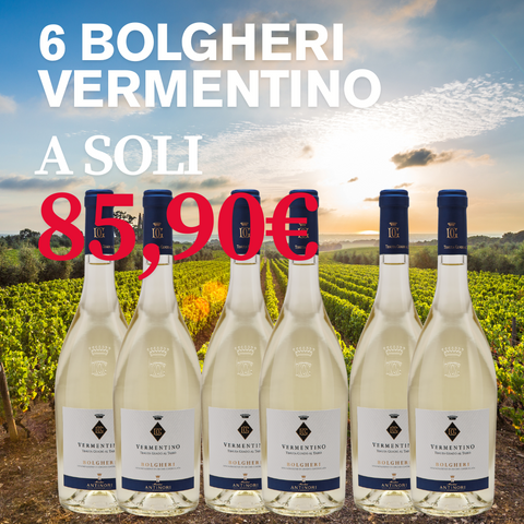 Box 6 bottiglie Vermentino Bolgheri Guado Al Tasso