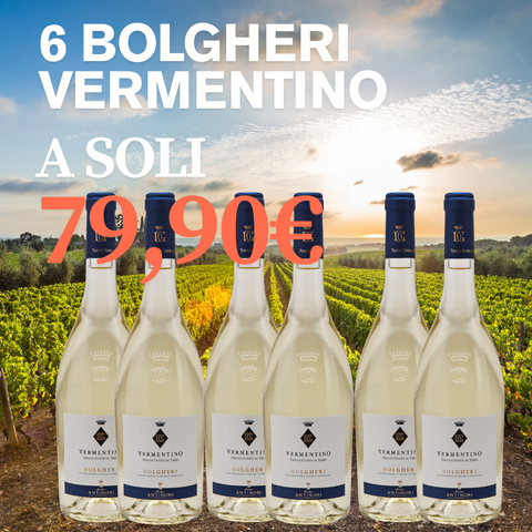 Box 6 bottiglie Vermentino Bolgheri Guado Al Tasso