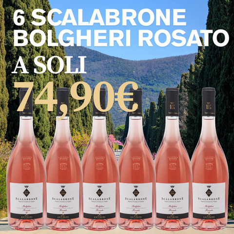 BOX 6 Bottiglie Scalabrone Rosato Bolgheri