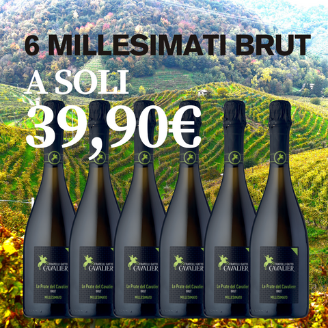 BOX 6 Spumante Millesimato Brut