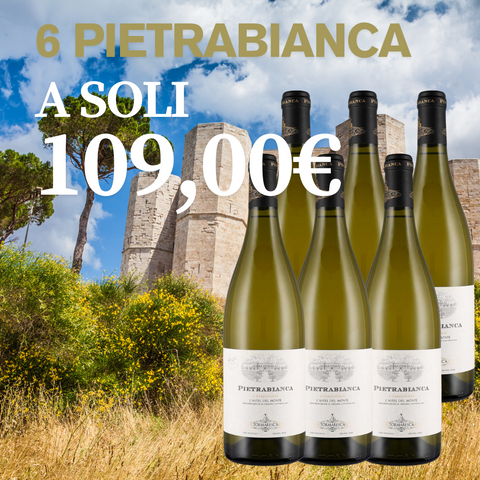 Box 6 Bottiglie Pietrabianca Bio Tormaresca