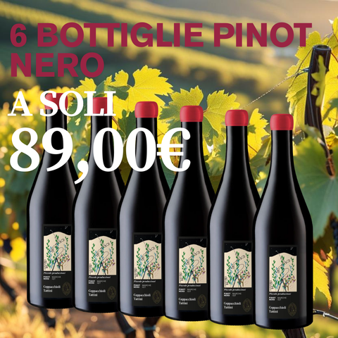 BOX 6 bottiglie Pinot Nero