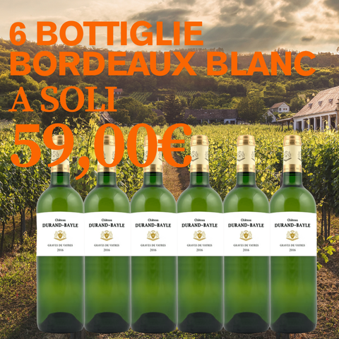 BOX 6 bottiglie di Bordeaux Blanc