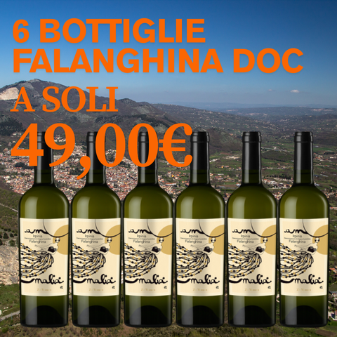 BOX Falanghina Irpinia DOC, 6 bottiglie da 0,75l
