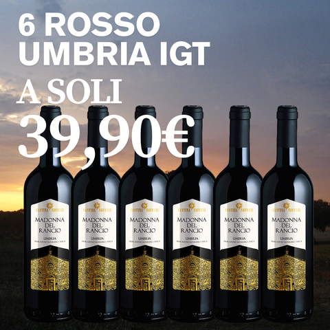 BOX Rosso Umbria IGT, 6 bottiglie da 0,75l