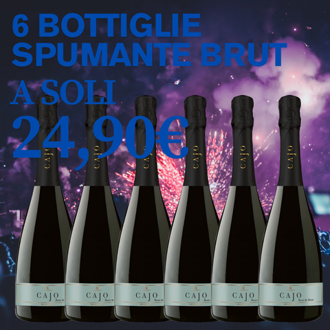 BOX Spumante Brut, 6 bottiglie da 0,75l
