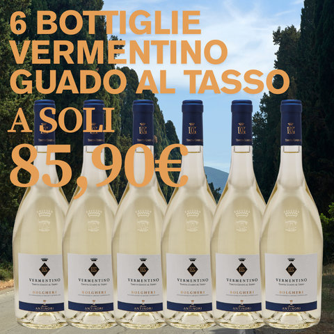 BOX Vermentino Bolgheri Antinori, 6 bottiglie da 0,75l