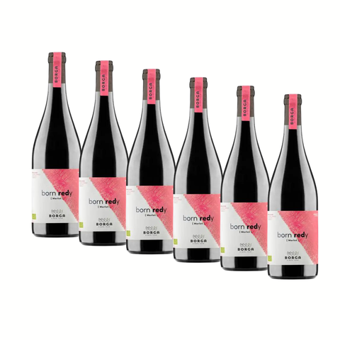 Box "Selezione Tutti i Giorni", 6 bottiglie da 0,75 di Merlot DOC Bio