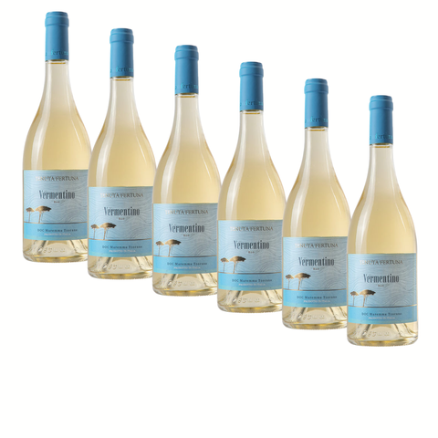 Box "Selezione Tutti i Giorni", 6 bottiglie da 0,75 di Vermentino Maremma DOC