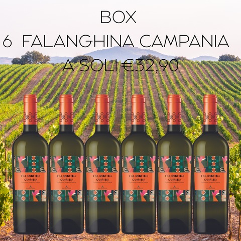 BOX Falanghina Campania IGP, 6 bottiglie da 75cl
