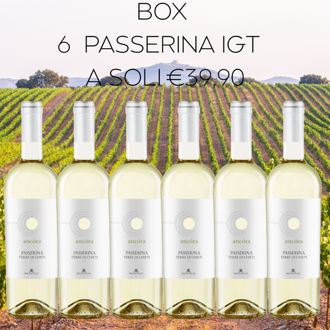 BOX Passerina Terre di Chieti IGT, 6 bottiglie da 75cl