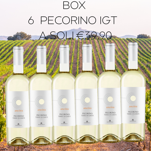 BOX Pecorino Terre di Chieti IGT, 6 bottiglie da 75cl