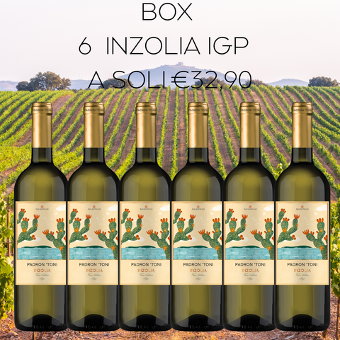 BOX Inzolia Terre Siciliane IGP, 6 bottiglie da 75cl