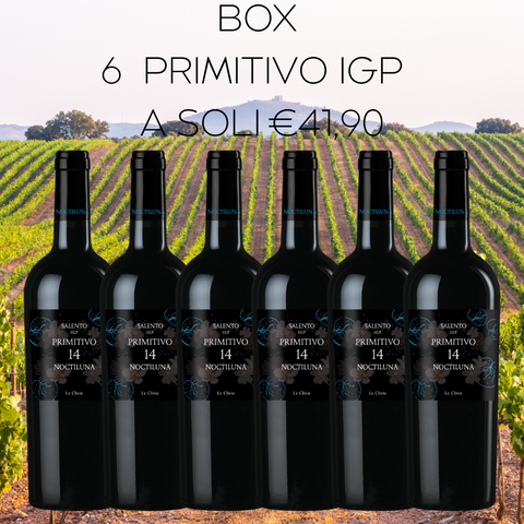 BOX Primitivo Salento IGP, 6 bottiglie da 75cl