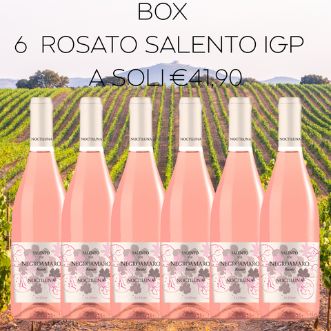BOX Rosato Salento IGP, 6 bottiglie da 75cl