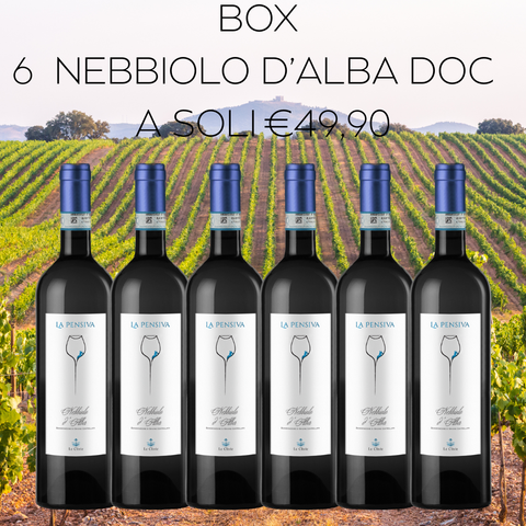 BOX Nebbiolo d'Alba DOC, 6 bottiglie da 75cl