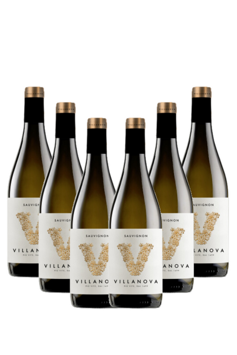 Box Sauvignon Collio Friuli DOC 2022 Tenuta Villanova, 6 bottiglie da 0,75l