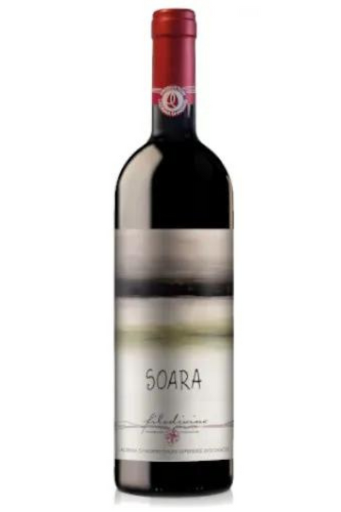 Soara Tear of Morro d'Alba Superiore DOC 2020 Organic Filodivino