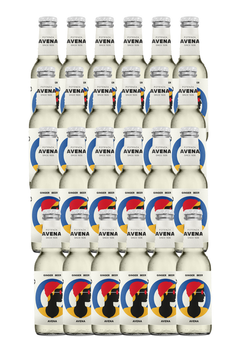 Pack Ginger Beer Avena,  24 Bottiglie da 200ml