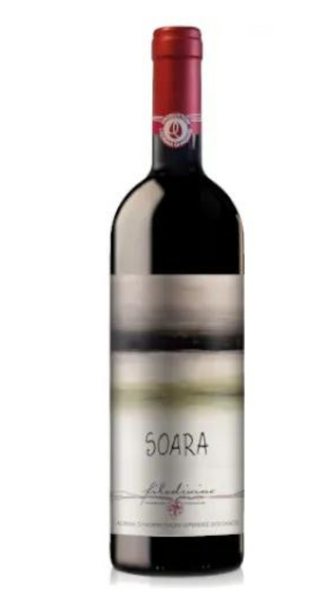 Soara Tear of Morro d'Alba Superiore DOC 2020 Organic Filodivino