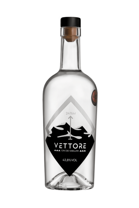 Vector de ginebra