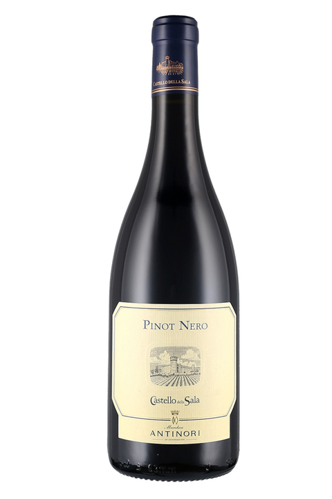 Pinot Noir of the Hall 2019 Umbria IGT Tenuta Castello Della Sala